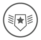 Impact Resistant Icon